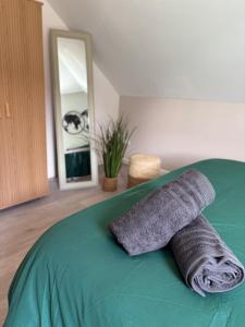 Le ColVert - Appartement 50m2 - Colmar Centre