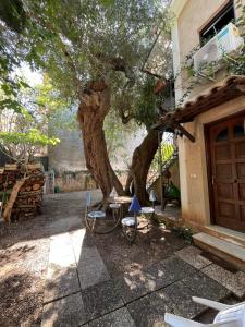 VILLINO TROCCOLI, Appartamento Morenita - 3hvězdičkové hotely ve městě Marina di Camerota