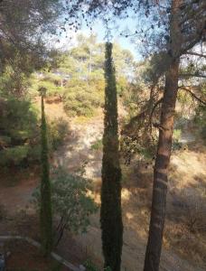 Platres Mountain Cottage