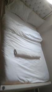 Nyamus accomodations