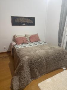 Acomodação Particular