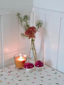 Barkóca és Szépkilátás Vendégház Cabin