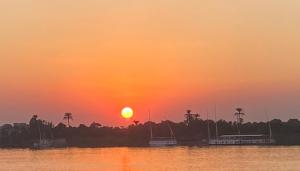 Lemon Tree apartments luxor