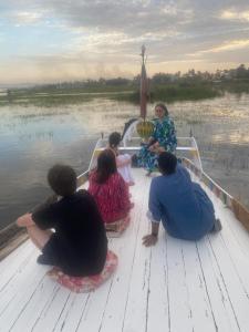 Lemon Tree apartments luxor