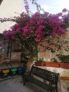 DA FEDERICA Casa Vacanze BAIA PORTO DELLE GENTI