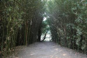 Rancho Nsa Sra Aparecida Nuara Terenos