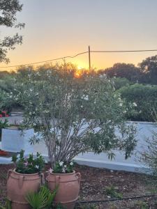 Avventure tra i trulli