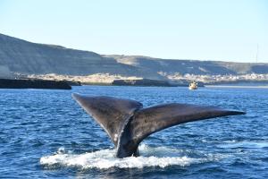 Hospedaje Don Manuel