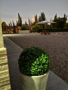 Cabaña Los Buenos Hermanos