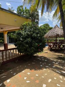 Guest House Veracruz