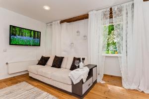 Old Town Central Apartment