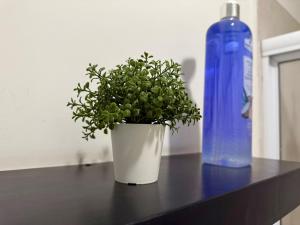 Loft a 6 minutos de la Playa