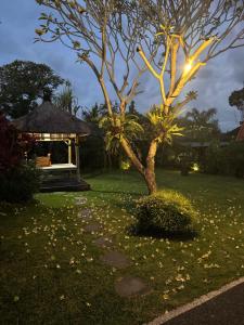 Umah Lumbung Estetik