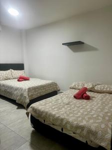 Cabaña pescador de colores