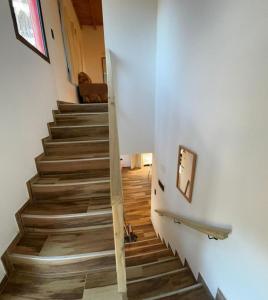 Complejos Del Jaguel