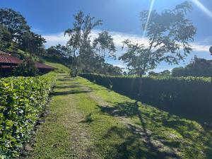 Posada de Leda y Jose, Casa de campo en la zona de Santa Cruz de Turrialba