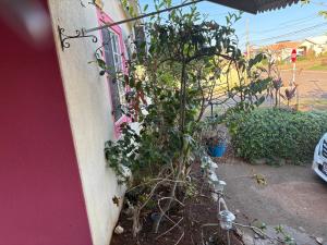 Cozy Cottage in Paradise