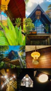 The Warming Nest Tree House