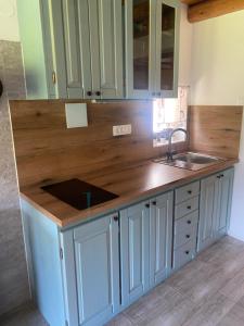 Počitniška hiša Lily 