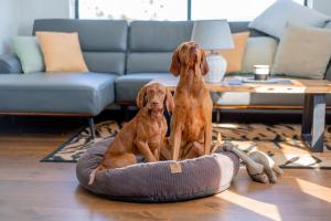 Luxury Penthouse w Hot Tub Views