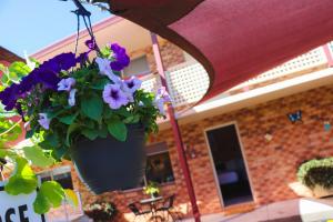 Kennedy Drive Boutique Motel - Close To City Centre & Airport