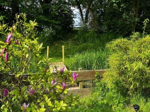 Duynhof nabij Strand, duinen, bos en stad - 5 personen