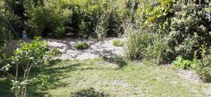 Coup de cœur en Alsace ! Proche Colmar et sur la route des Vins, Gîte de la Muse avec son jardin