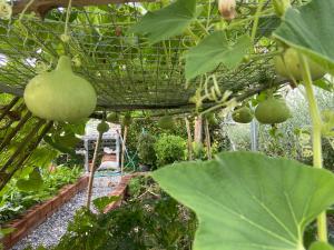 Small Hours Homestead Living Khaoyai