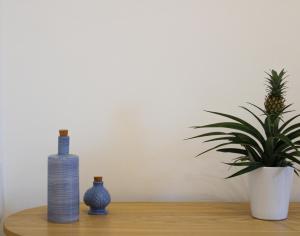 LIGEA APARTMENT - Bright Mediterranean Home with Bali-Inspired Touches - Central Anzio near Sea, Train and Bus Station