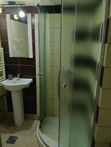 Piata Armatei 1 camera