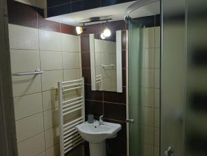 Piata Armatei 1 camera