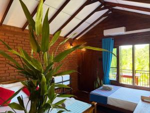 Tree Top View Tree House