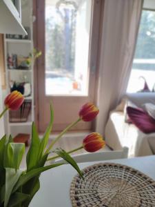 Lapin lomakoti yliopiston lähellä