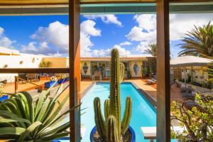 MADORA-Lanzarote -Villa- private pool, amazing garden, sea view, quiet location
