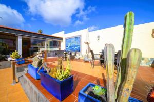 MADORA-Lanzarote -Villa- private pool, amazing garden, sea view, quiet location