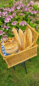 Artisan Hideaway Bed and Breakfast