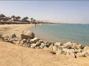 شاليه غرفتين palmera