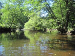 Campings La Roulotte des Bords de l'Ance : photos des chambres