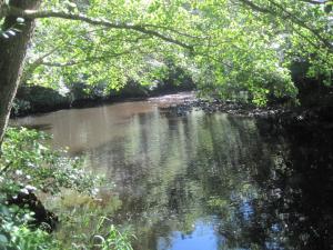 Campings La Roulotte des Bords de l'Ance : photos des chambres