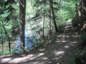 Campings La Roulotte des Bords de l'Ance : photos des chambres