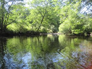 Campings La Roulotte des Bords de l'Ance : photos des chambres