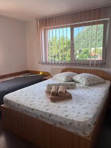 Pensiunea Floare de Colt