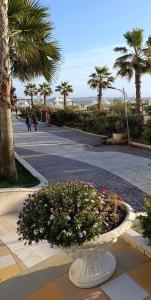 Sunny Family Apartament Golem