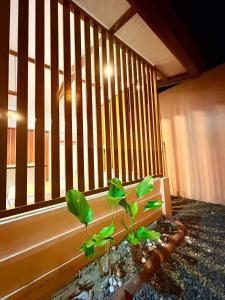 Aesthetic House - 3 minutes away from Airport