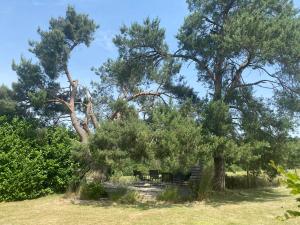 Gîte Au 44 - Banneux