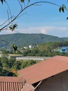 Nhà Dưới Đồi Homestay