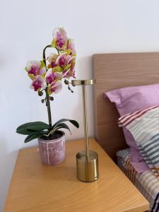 Flat near to City Centre attractions - Free parking