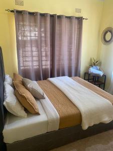 Natulu Apartment Livingstone