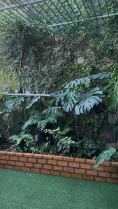 Đà Lạt Homestay - Lối Nhỏ