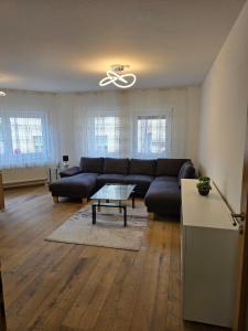 Moderne großzügige Wohnung zu vermieten